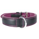 Ace Comfy LEATHER DOG COLLAR Padded And lined with soft Lamb's Leather (Purple Lining).